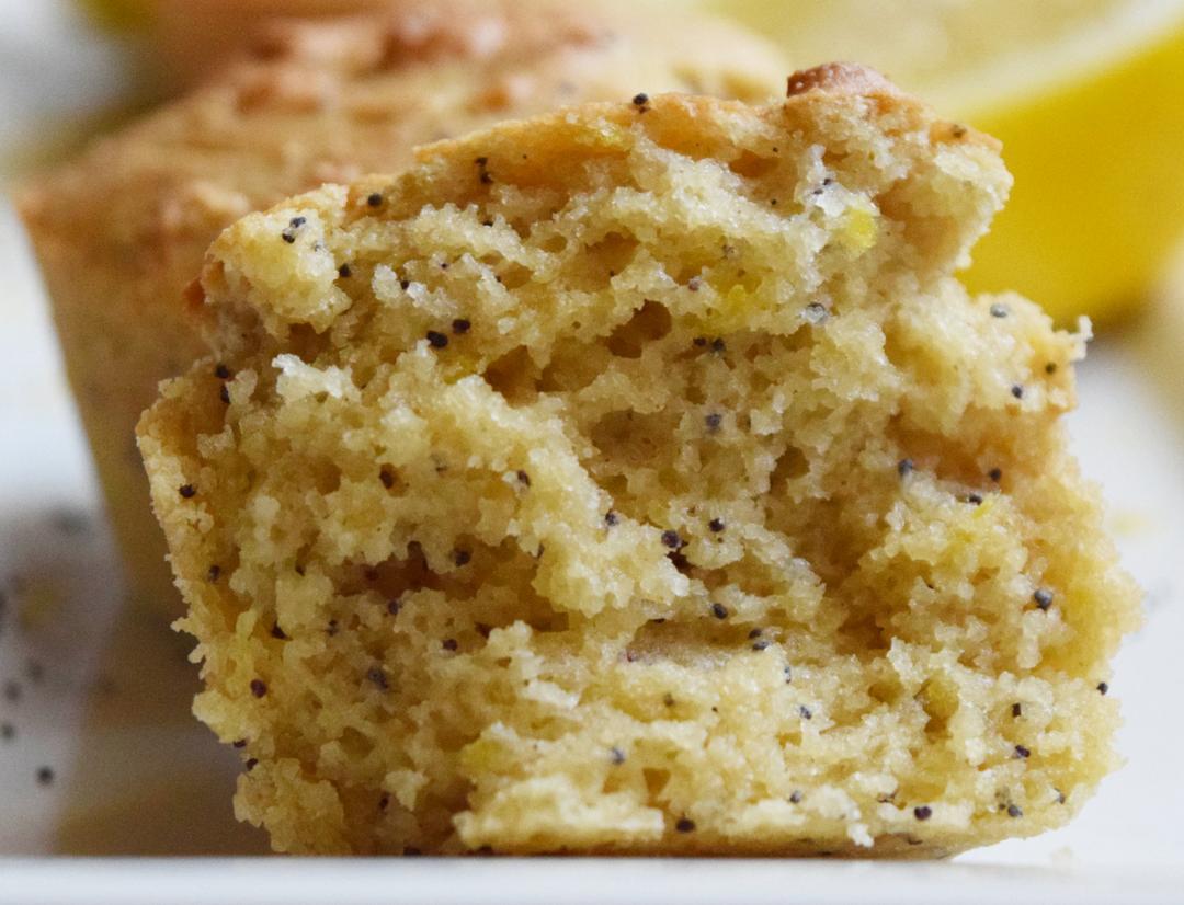 close-up photo of a lemon poppyseed muffin